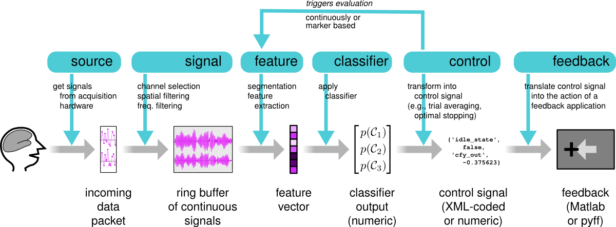 bbci_apply example application